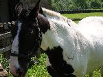 2006-0606-1059-16.jpg